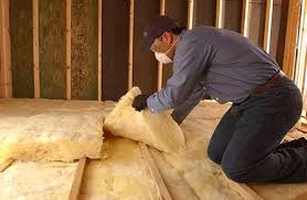 Best Garage Insulation  in Millsboro, DE